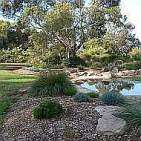Outstanding pond surrounded by native plants